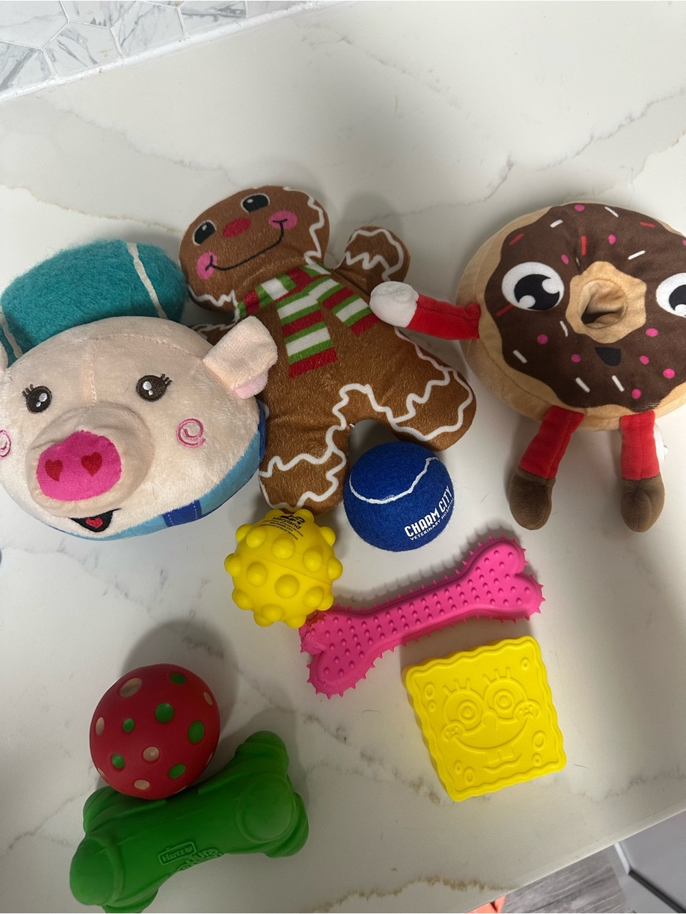 Dog toys & accessories